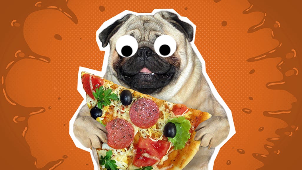 Food Jokes Funny And Silly Food Jokes Beano Com