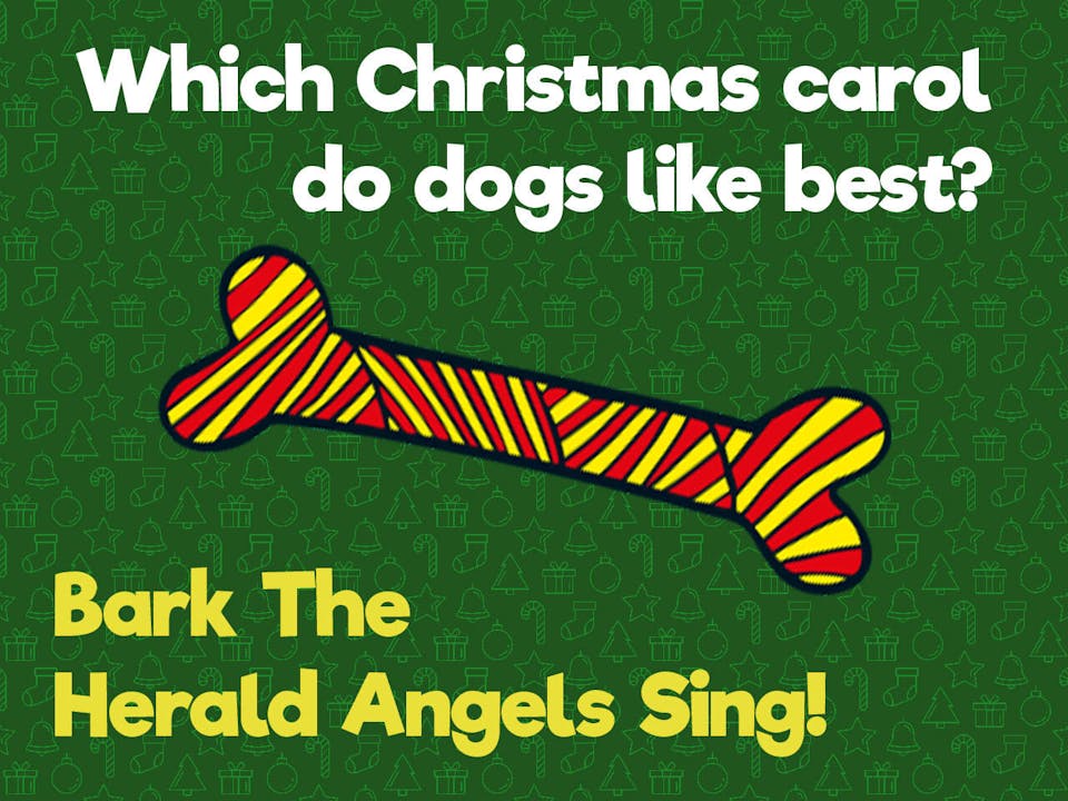 Joke Advent 25 Funny Advent Jokes From Beano