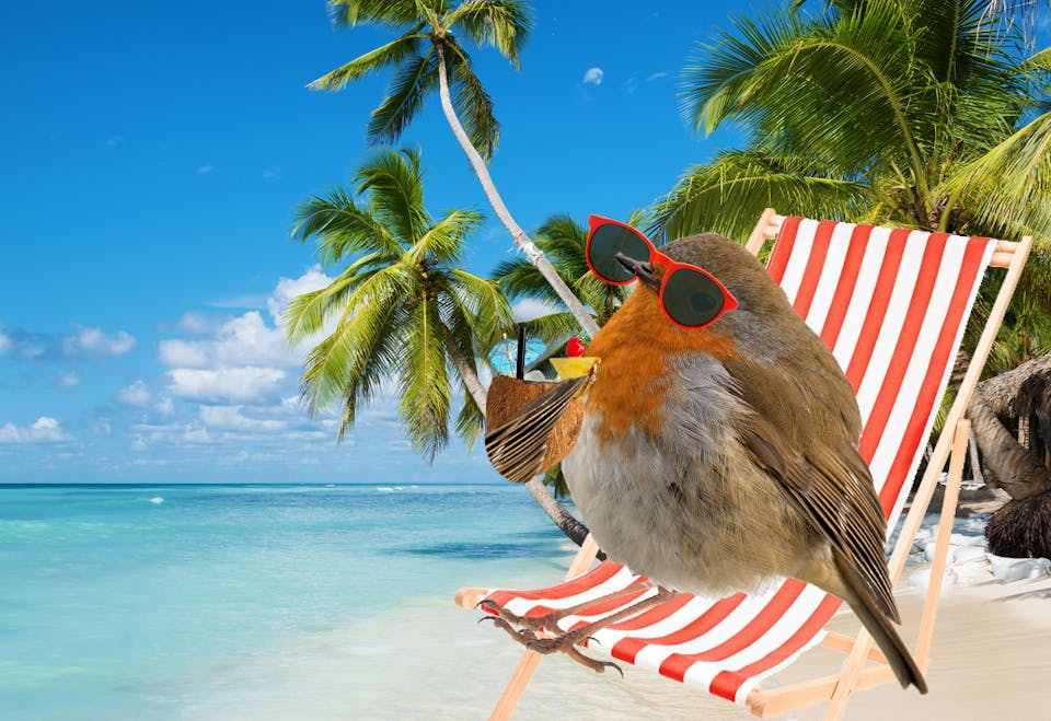 Rencontre plage gay