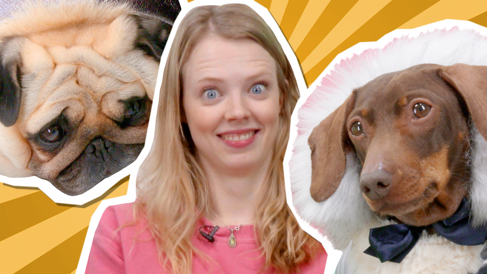 Dantdm Fortnite Pug Skin