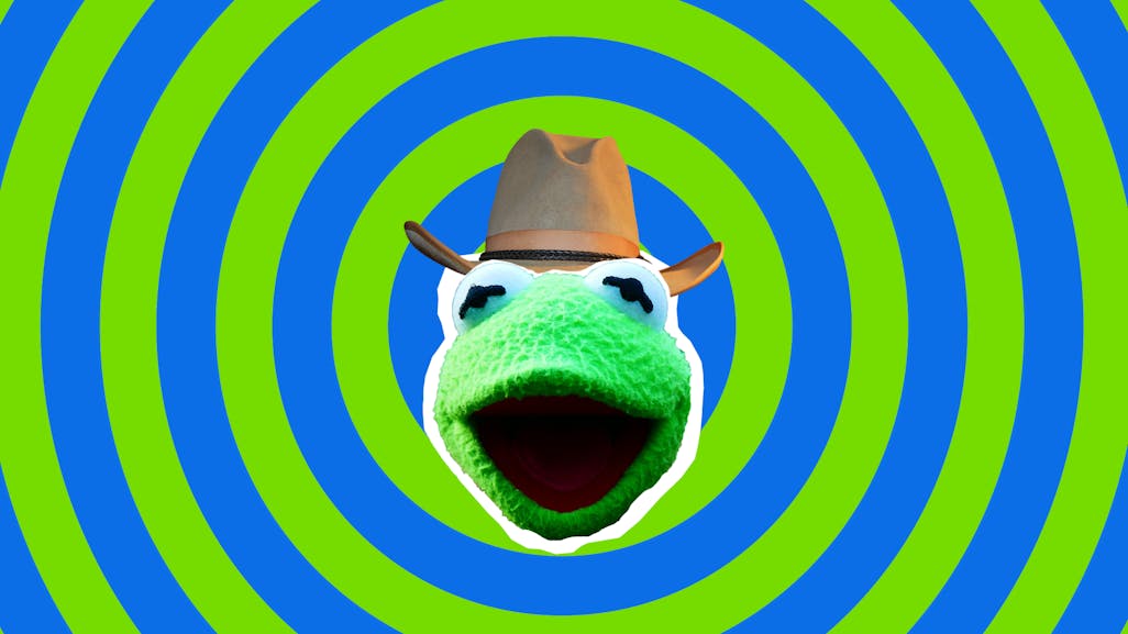 Kermit The Frog Jokes Funny Kermit The Frog On Beano Com - kermit hat roblox